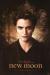 دانلود فیلم Twilight 2 2009 گرگ و میش ۲