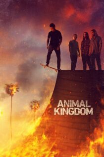 دانلود سریال Animal Kingdom قلمرو حیوانات