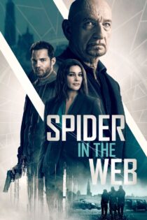 دانلود فیلم Spider in the Web 2019 عنکبوت در تار